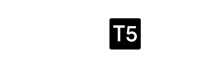 Apprentissage par transfert avec T5 : le transformateur de transfert de texte à texte