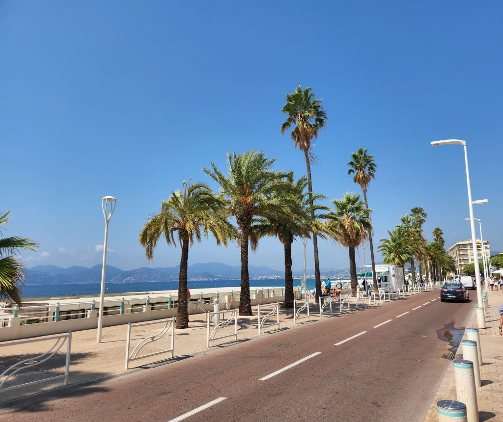 Cannes et visibilité locale