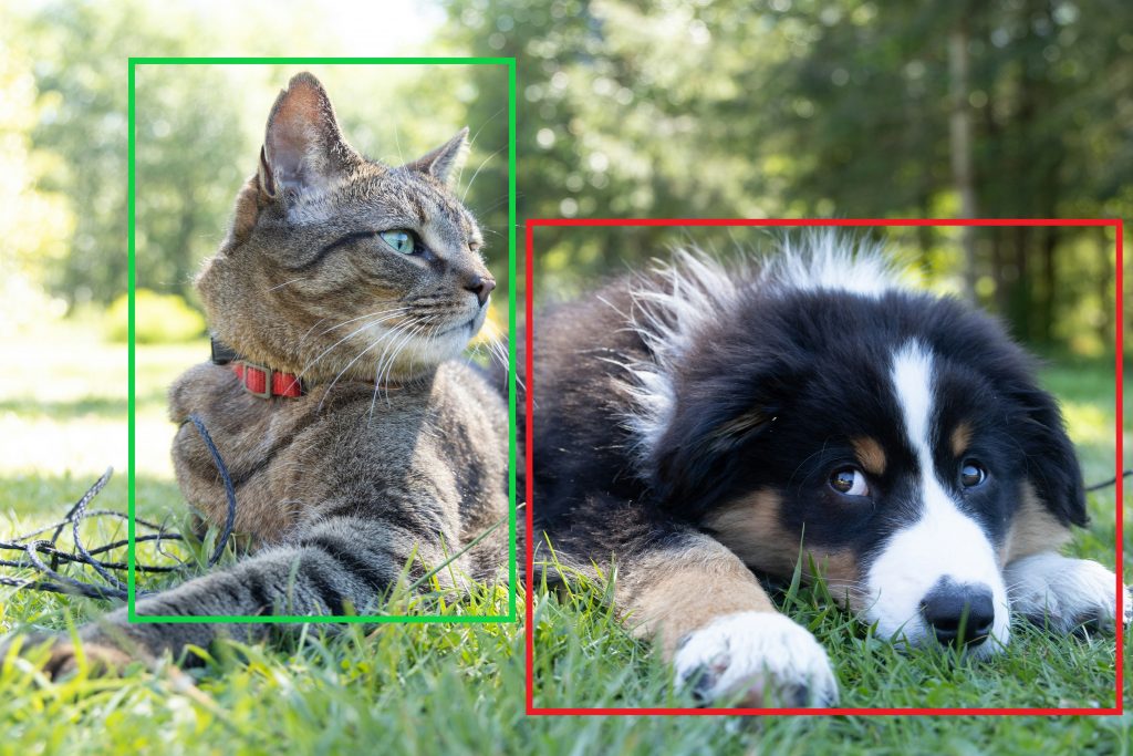 détection d'objet utilisée en computer vision pour différencier un chat d'un chien