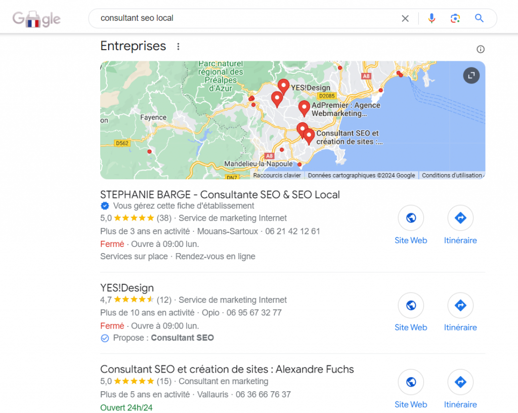 Référencement local exemple requete consultant seo local
